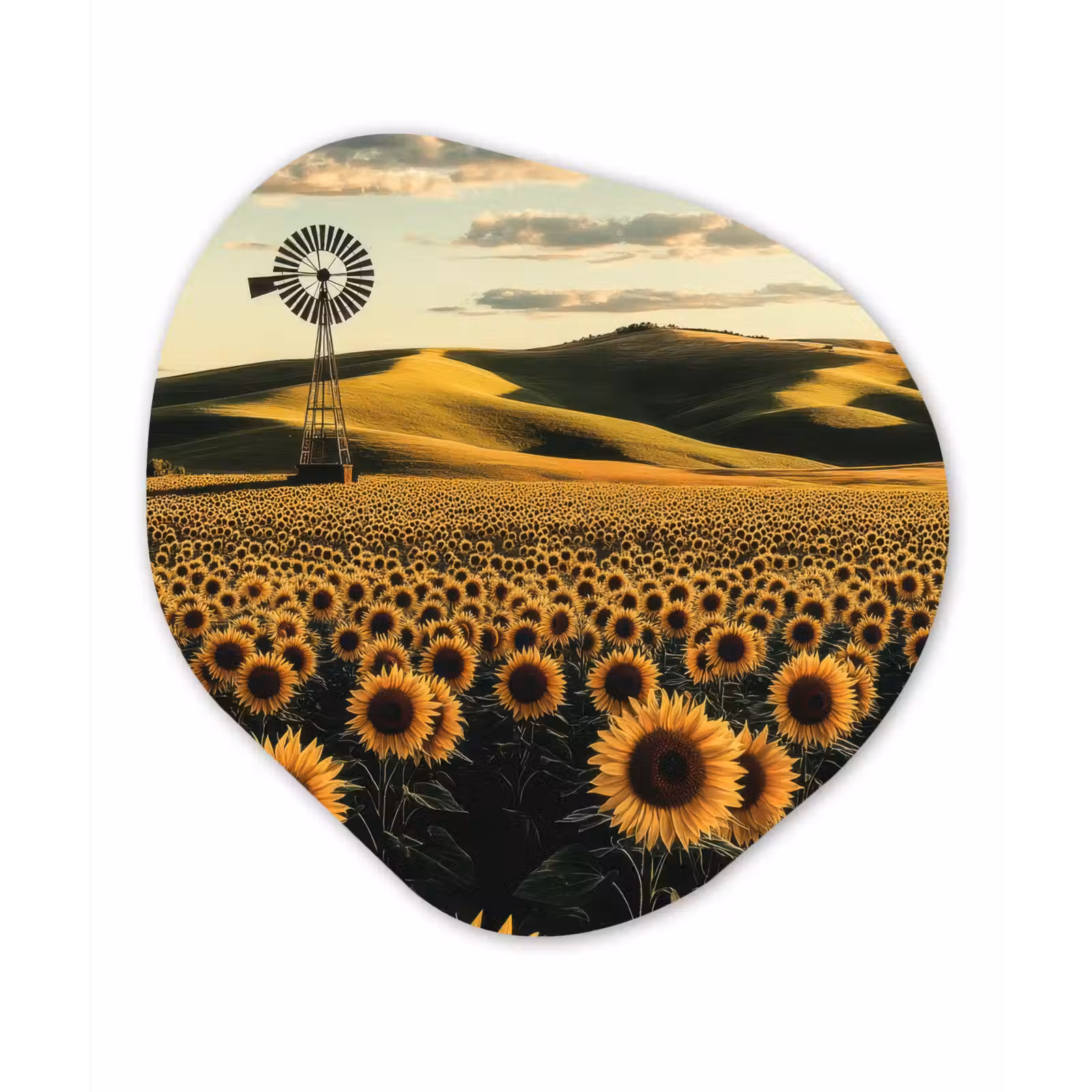 Organisch schilderij - Forex - Zonnebloem - Veld - Windmolen — 1