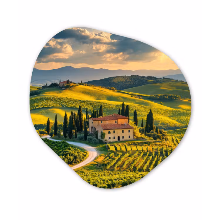 Organisch schilderij - Forex - Toscane - Landschap - Wijngaarden — 1