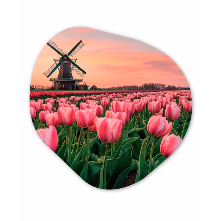 Organisch schilderij - Forex - Tulpen - Molen - Nederland — 1