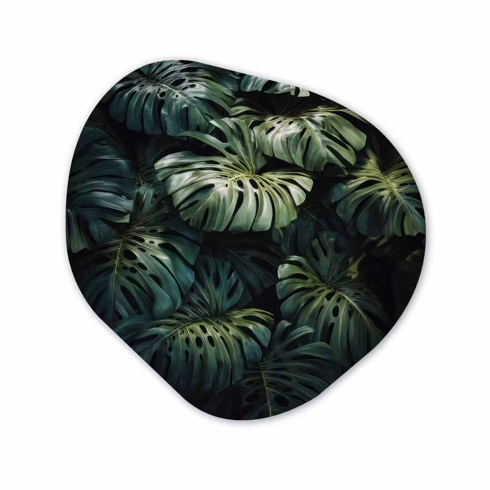 Organisch schilderij - Forex - Plant - Monstera - Lichtinval — 1