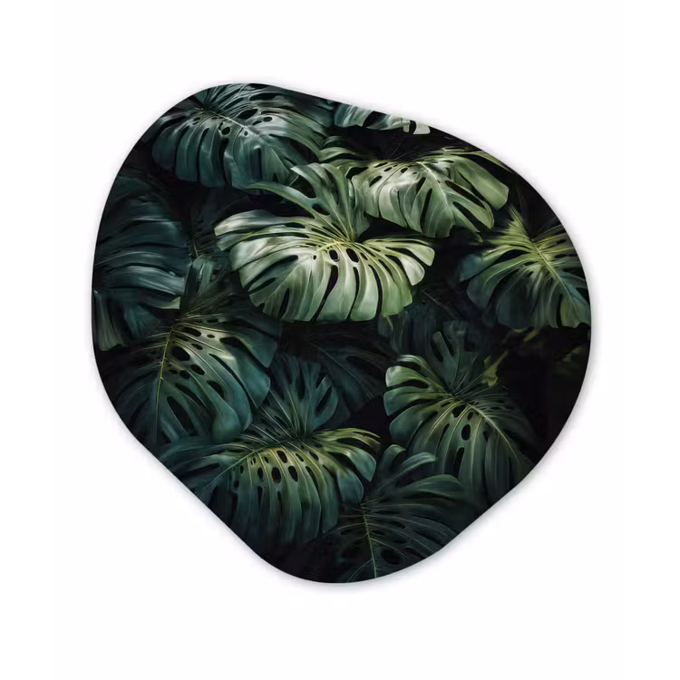 Organisch schilderij - Forex - Plant - Monstera - Lichtinval — 1