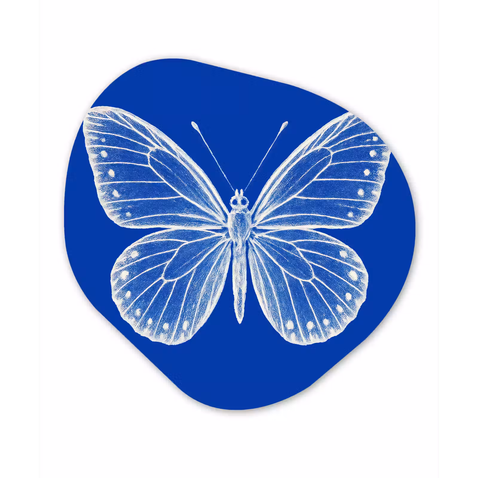 Organisch schilderij - Forex - Vlinder - Wit - Getekend - Stippen — 1