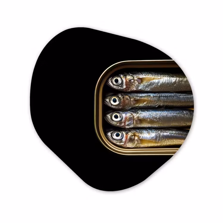 Organisch schilderij - Forex - Sardines - Blik - Zwart - Vissen — 1