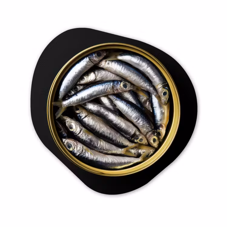 Organisch schilderij - Forex - Sardines - Vissen - Rond - Zwart — 1