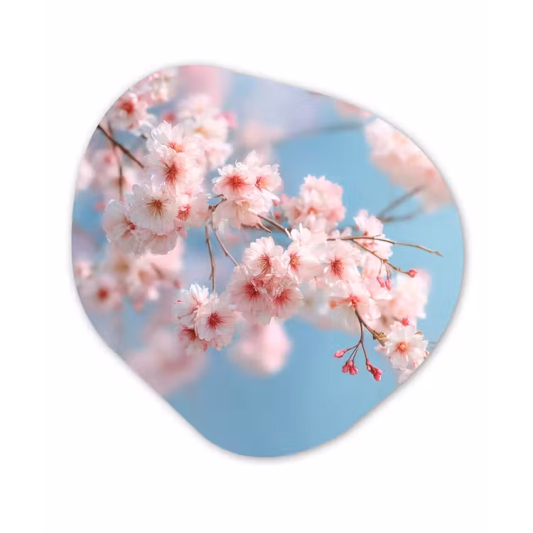 Organisch schilderij - Forex - Takken - Bloesems - Roze — 1