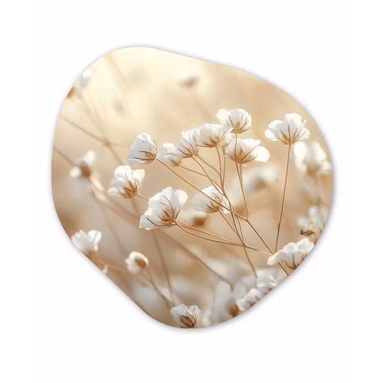 Organisch schilderij - Forex - Wilde - Bloemen - Wit — 1