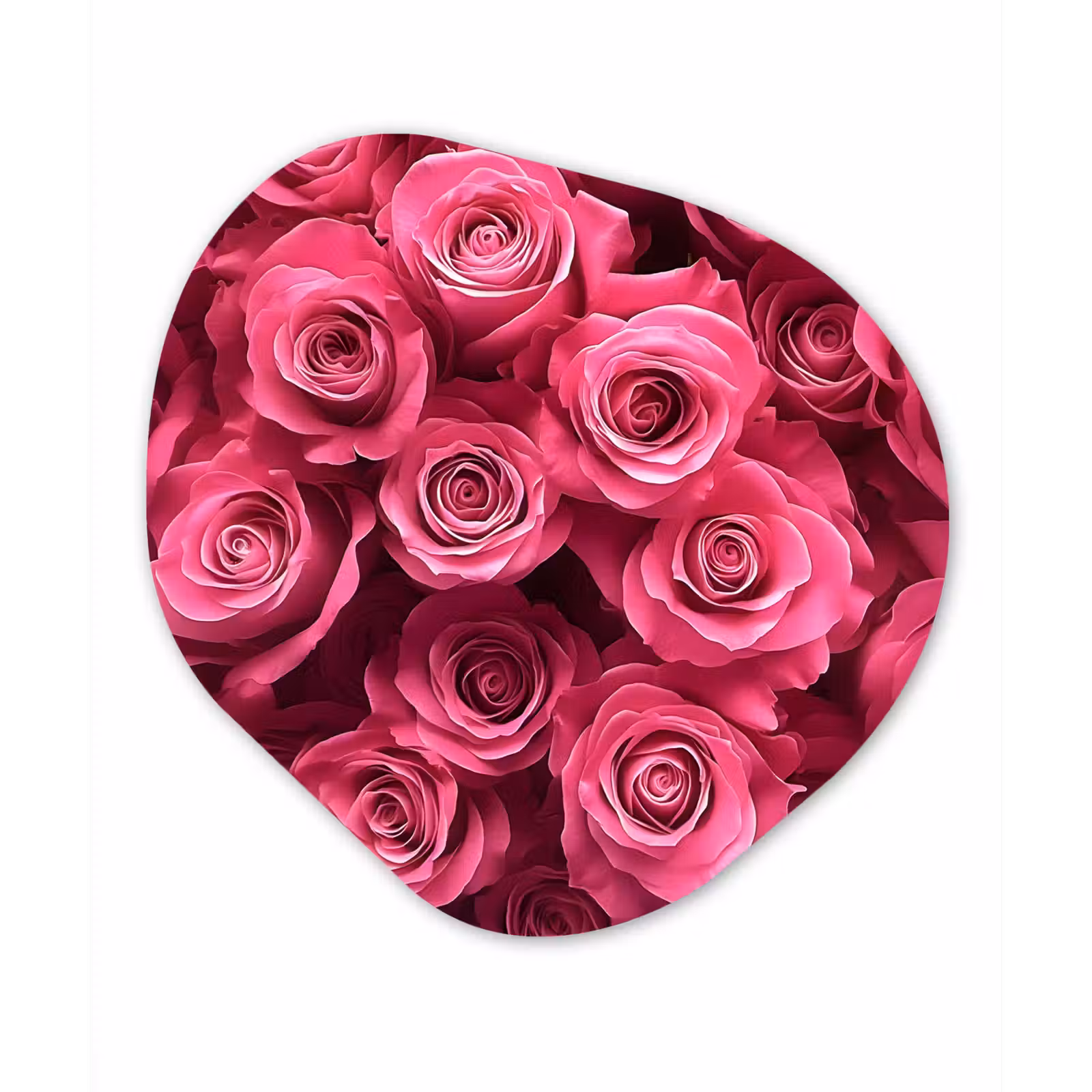 Organisch schilderij - Forex - Rozen - Pink - Bloem — 1