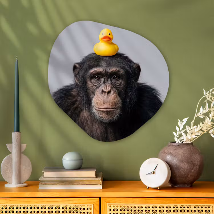 Organische vorm aluminium - Chimpansee - Badeend - Grijs — 2