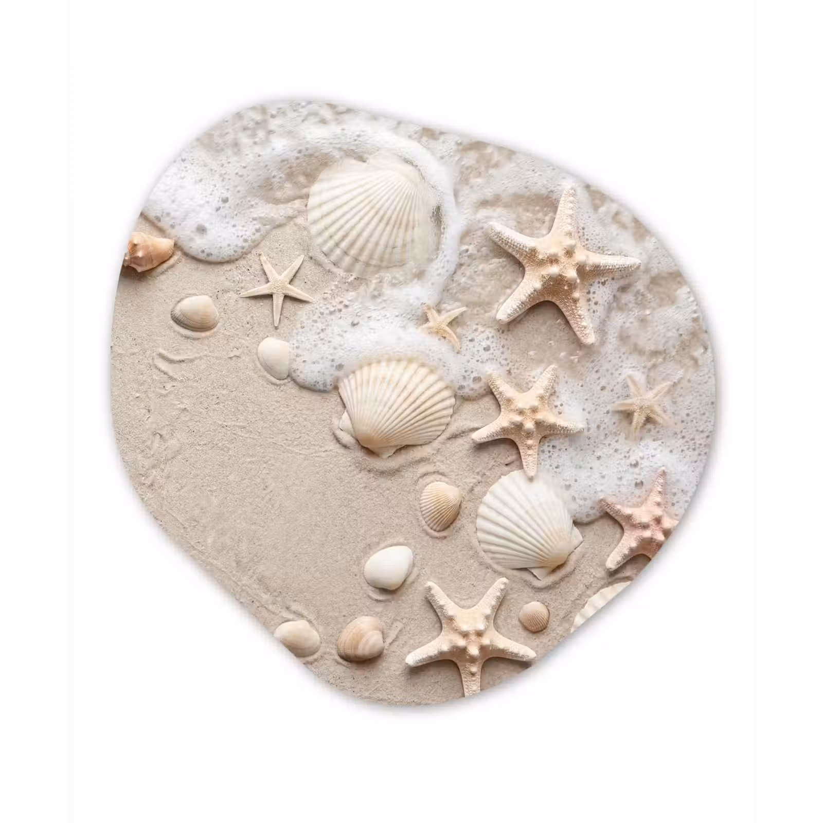 Organisch schilderij - Forex - Schelpen - Zeesterren - Strand — 1