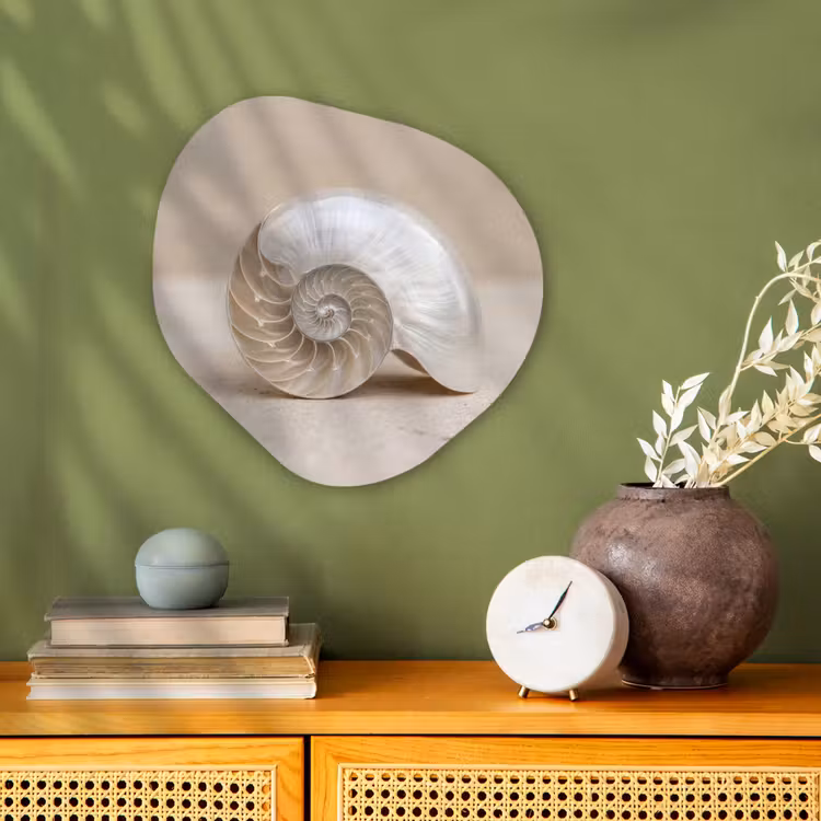 Organisch schilderij - Forex - Schelp - Spiraal - Beige — 2