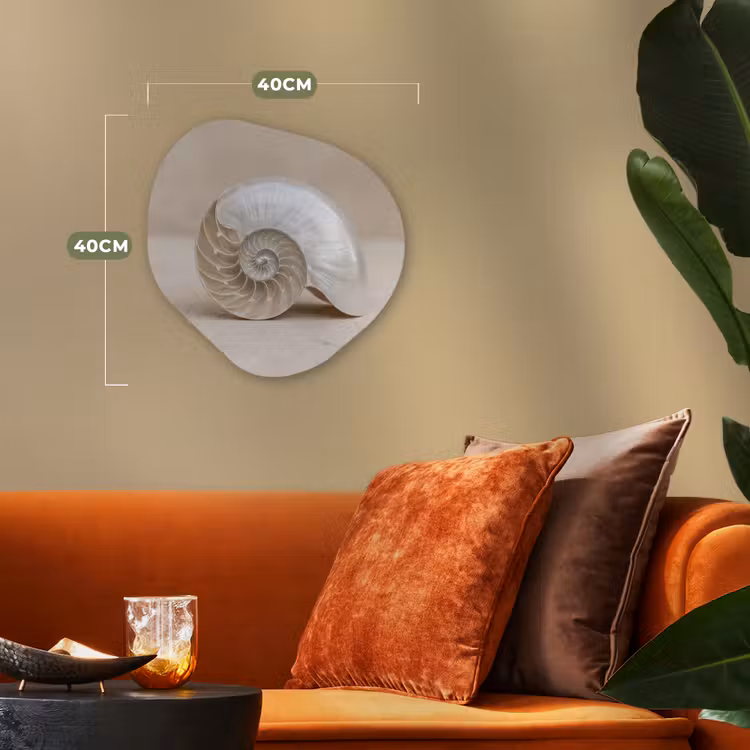 Organisch schilderij - Forex - Schelp - Spiraal - Beige — 4