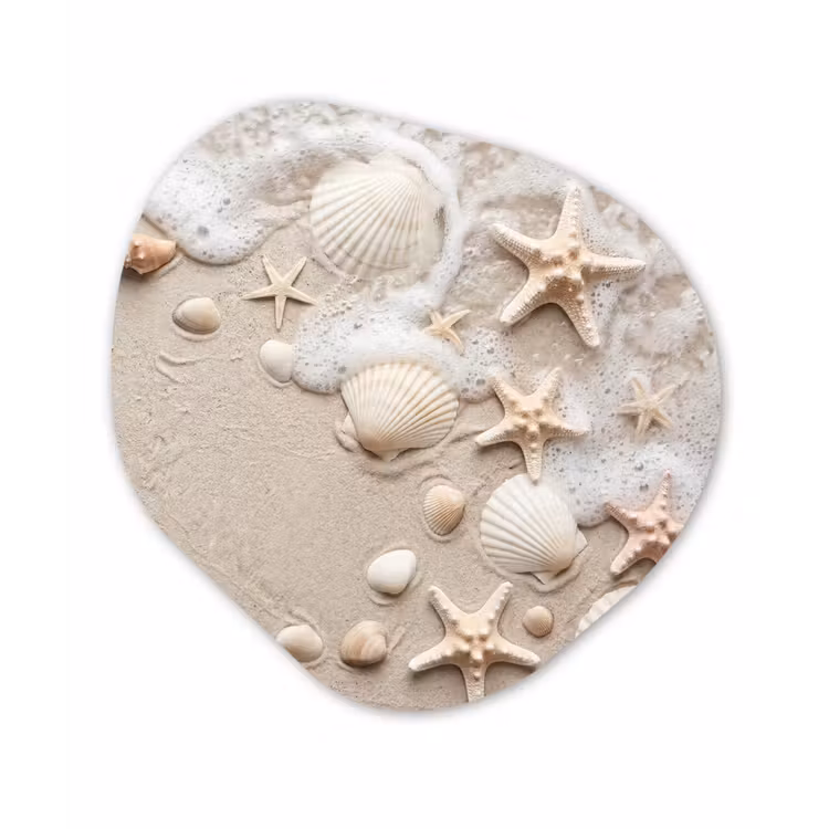 Organisch schilderij - Forex - Schelpen - Zeesterren - Strand — 1