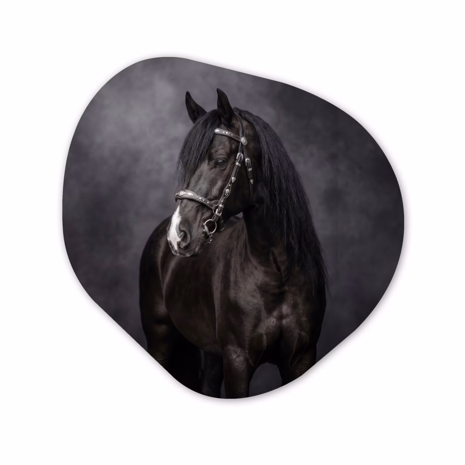 Organisch schilderij - Forex - Portret - Paard - Zwart — 1