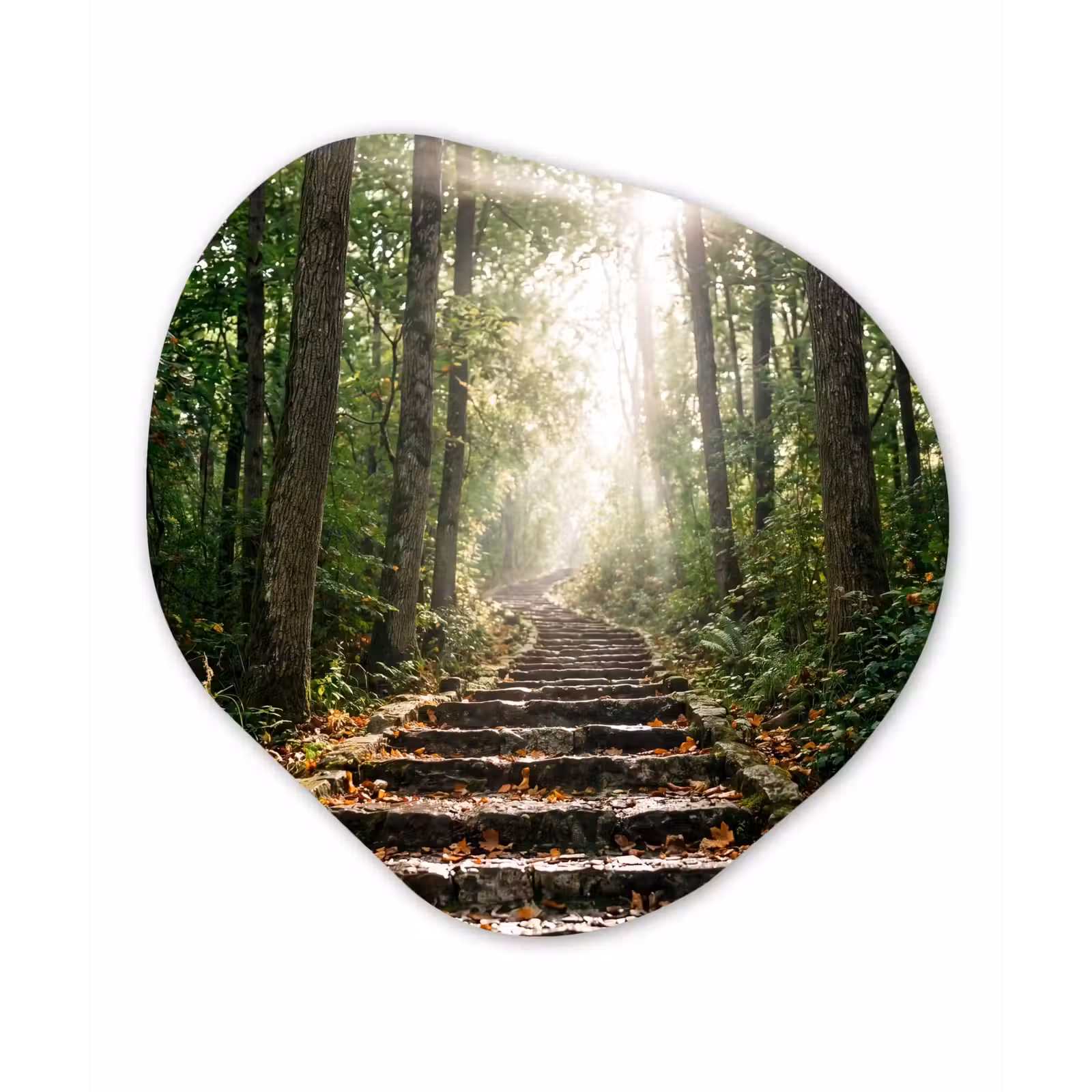 Organisch schilderij - Forex - Stenen - Trap - Bos - Natuur — 1