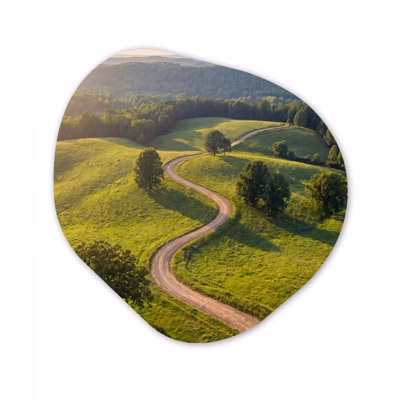 Organisch schilderij - Forex - Weg - Weide - Natuur - Groen — 1