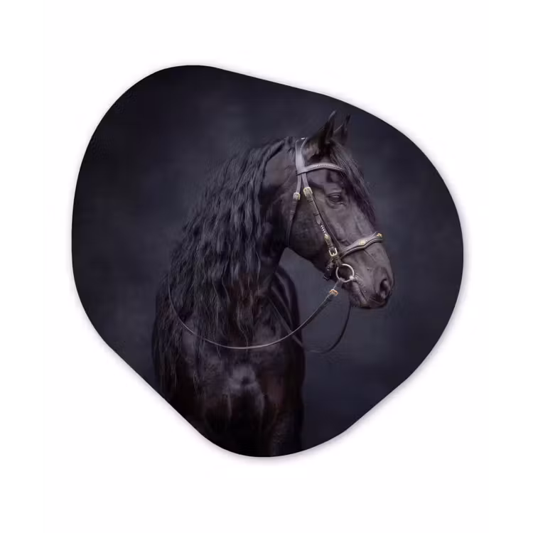 Organisch schilderij - Forex - Portret - Paard - Donker — 1