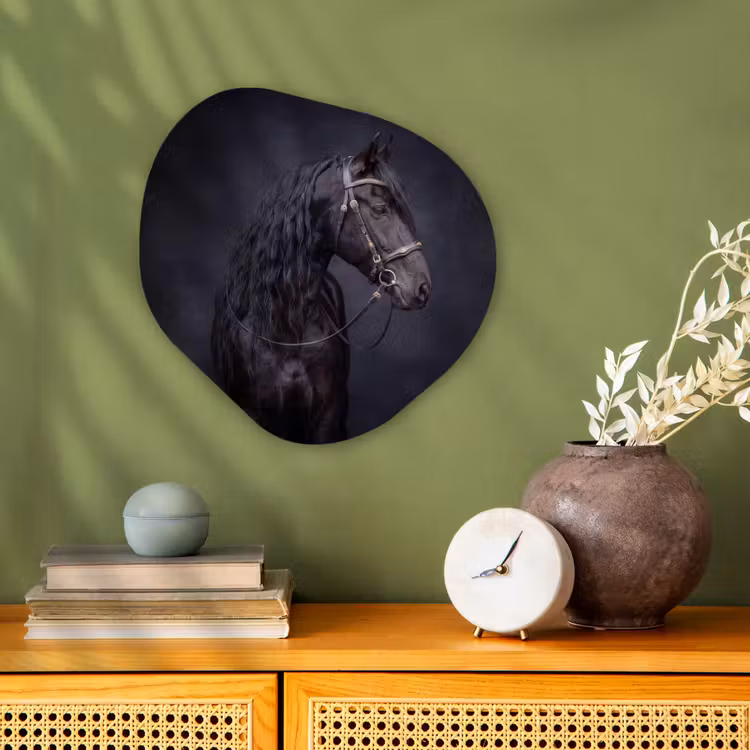 Organisch schilderij - Forex - Portret - Paard - Donker — 2
