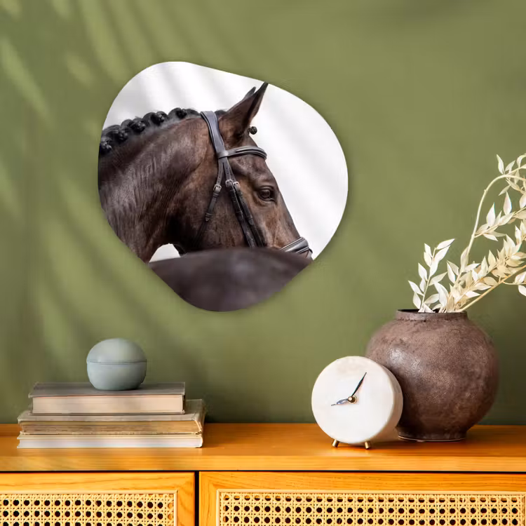 Organisch schilderij - Forex - Portret - Paard - Elegant — 2