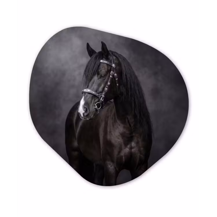 Organisch schilderij - Forex - Portret - Paard - Zwart — 1