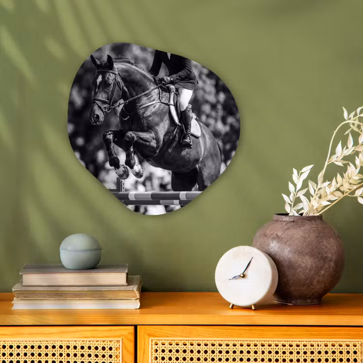 Organisch schilderij - Forex - Springen - Paard - Zwart - Wit — 2