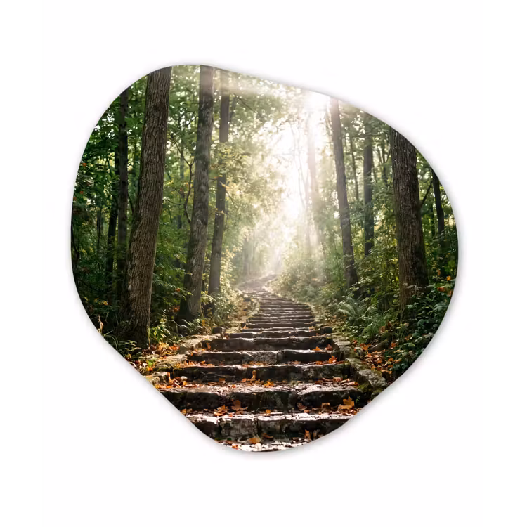 Organisch schilderij - Forex - Stenen - Trap - Bos - Natuur — 1