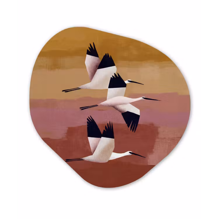 Organisch schilderij - Forex - Vogels - Snavel - Abstract — 1