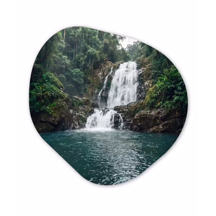 Organisch schilderij - Forex - Waterfall - Forest - Nature - Greenkhgyguyg — 1