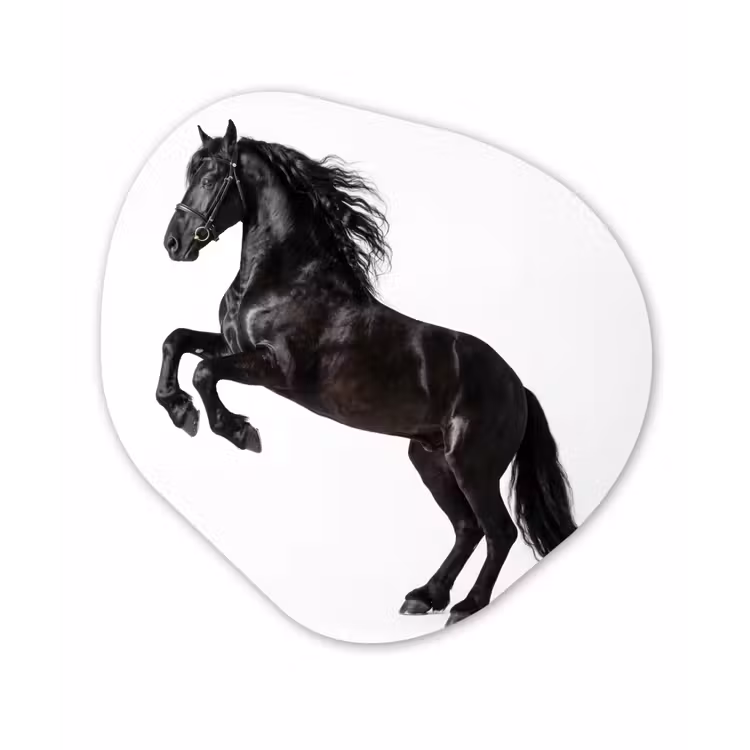 Organisch schilderij - Forex - Zwart - Paard - Portret — 1