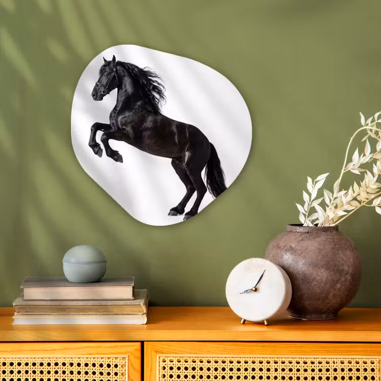 Organisch schilderij - Forex - Zwart - Paard - Portret — 2