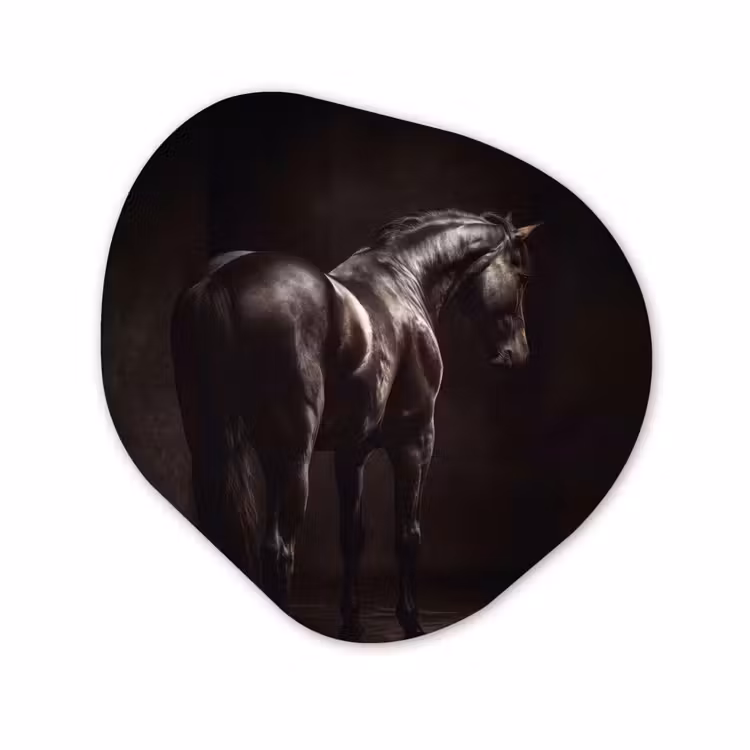 Organische vorm aluminium - Krachtig - Paard - Donker — 1
