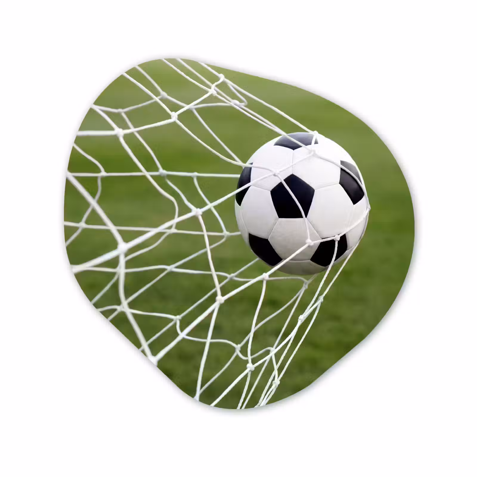 Organisch schilderij - Forex - Voetbal - Goal - Net - Sport — 1