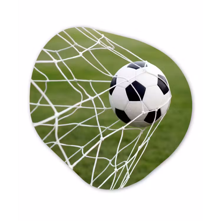 Organisch schilderij - Forex - Voetbal - Goal - Net - Sport — 1