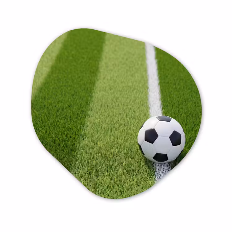 Organisch schilderij - Forex - Voetbal - Grasveld - Sport - Groen — 1