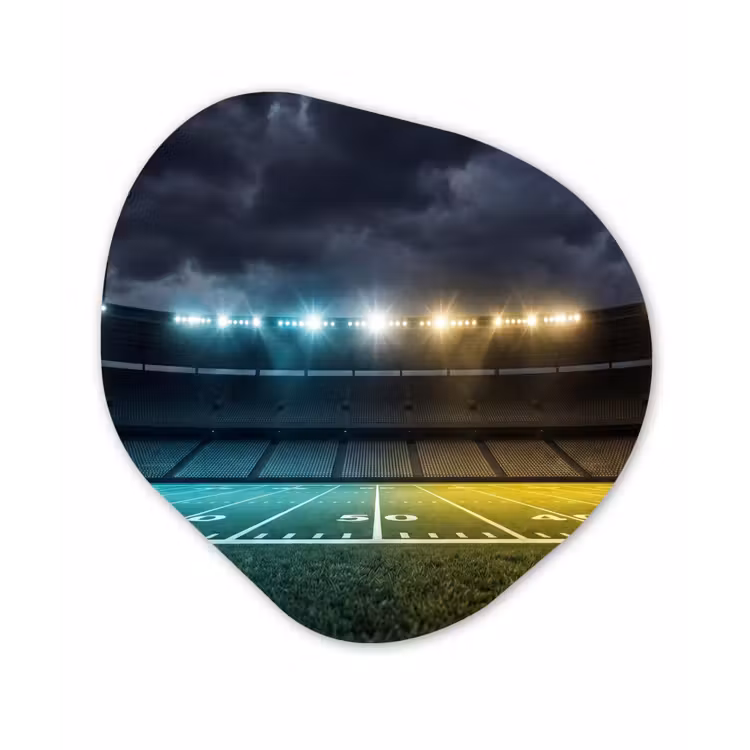 Organisch schilderij - Forex - Voetbal - Stadion - Nacht - Modern — 1