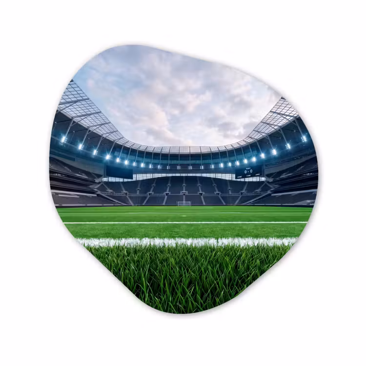 Organisch schilderij - Forex - Voetbal - Stadion - Sport - Groen — 1