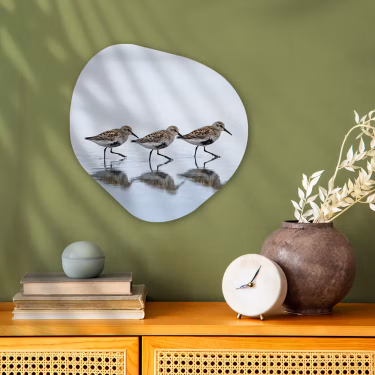 Organisch schilderij - Forex - Vogels - Water - Grijs — 2
