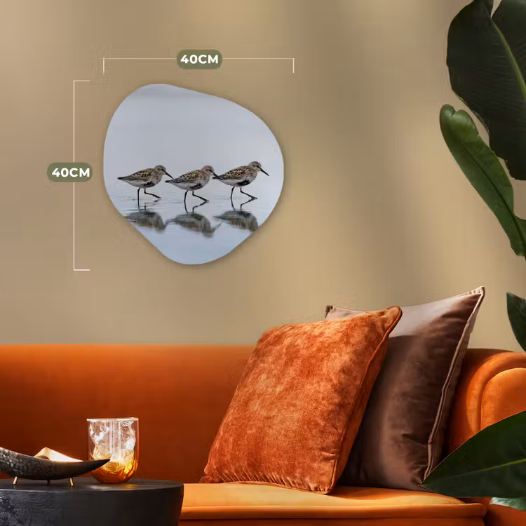 Organisch schilderij - Forex - Vogels - Water - Grijs — 4