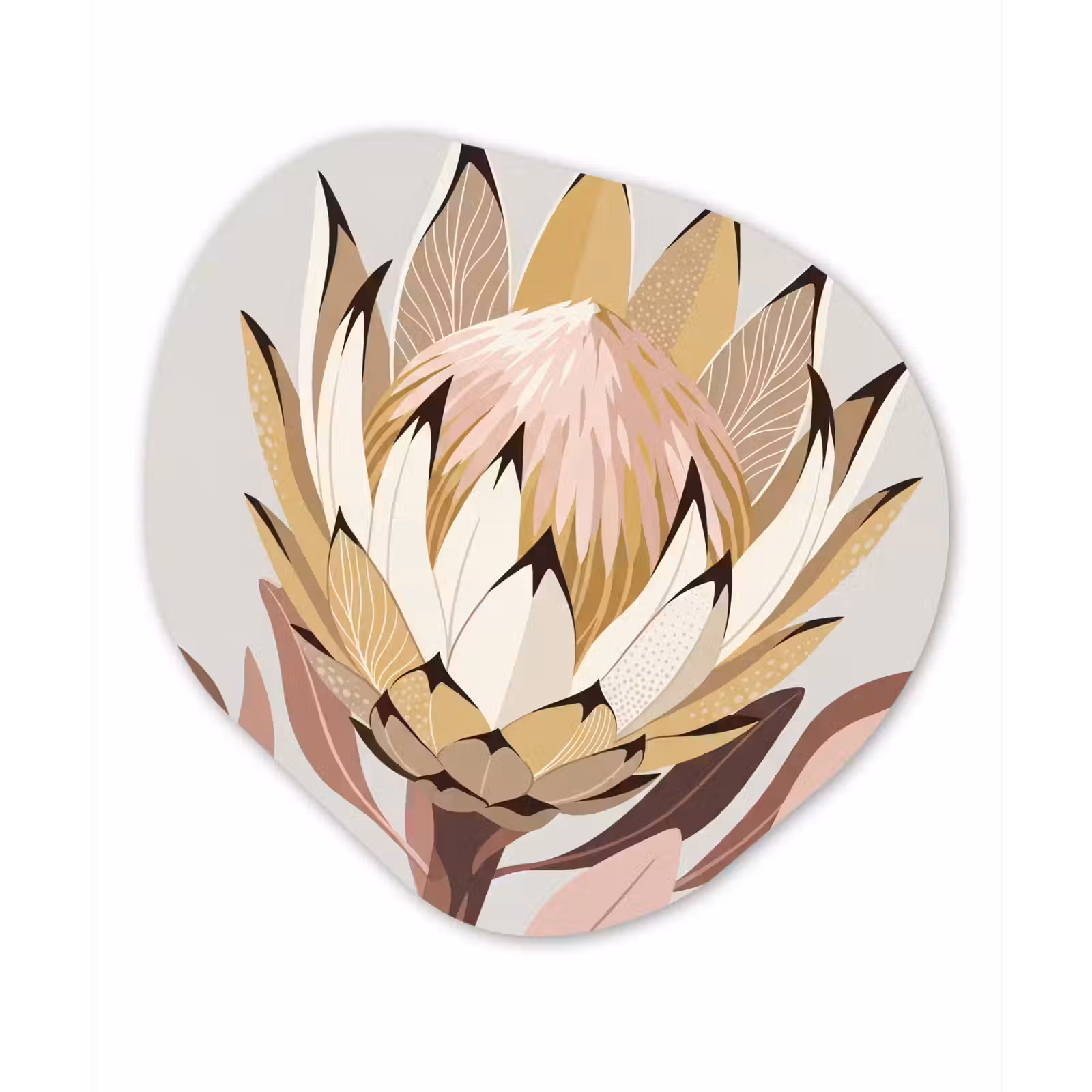 Organisch schilderij - Forex - Protea - Bloem - Botanisch - Beige — 1
