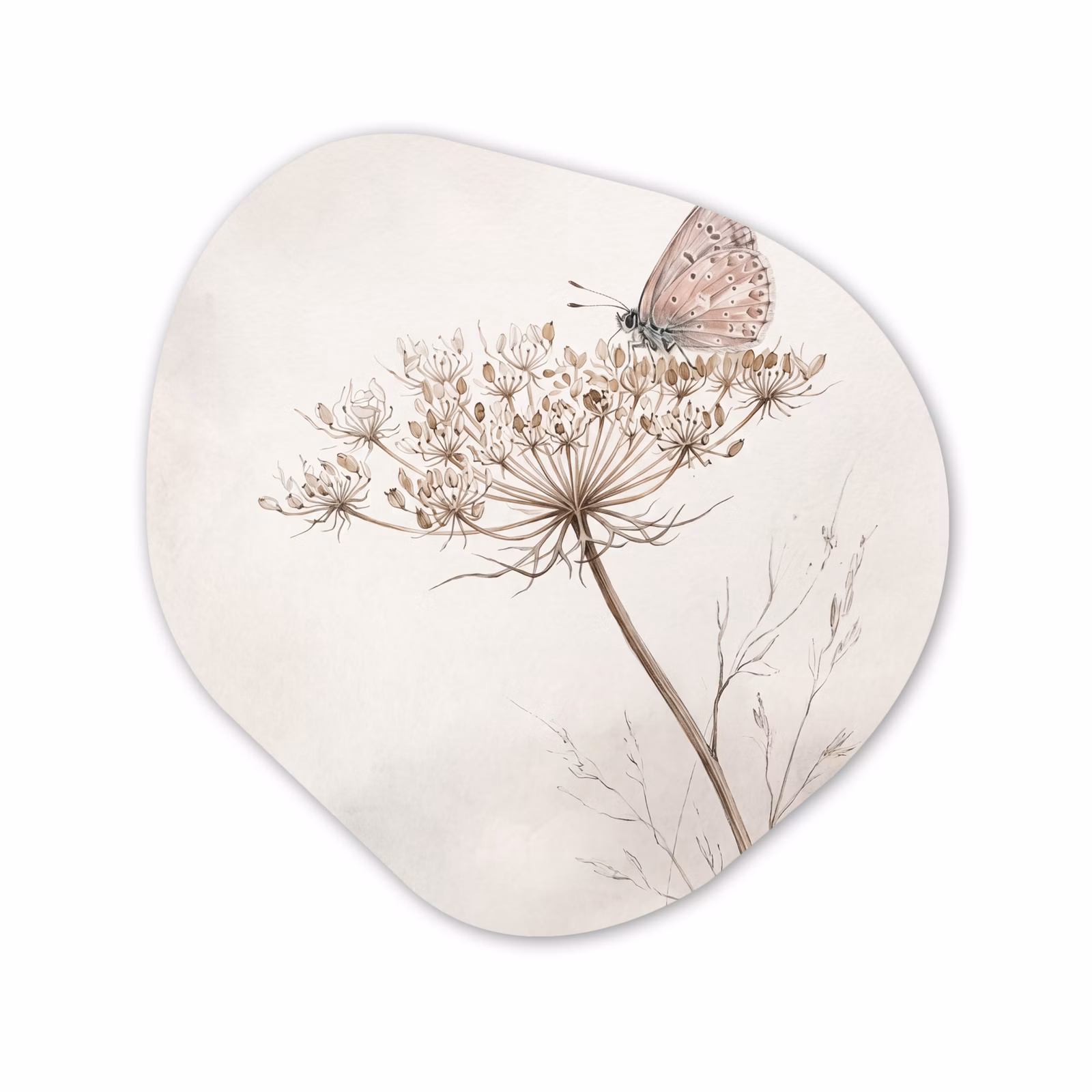 Organisch schilderij - Forex - Vlinder - Bloem -Natuur - Beige — 1