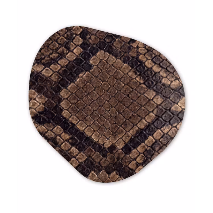 Organisch schilderij - Forex - Python - Schubben - Brons — 1