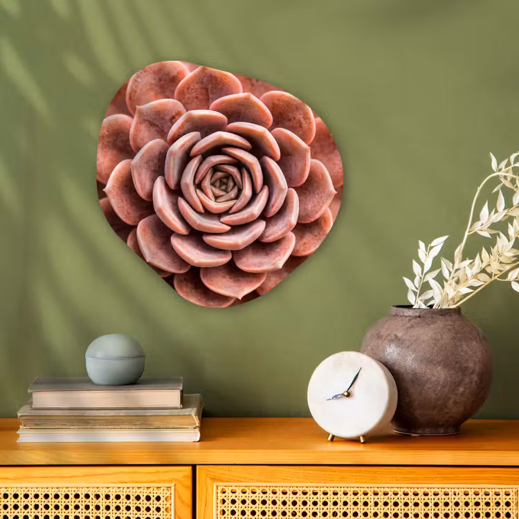 Organisch schilderij - Forex - Vetplant - Organisch - Roze — 2