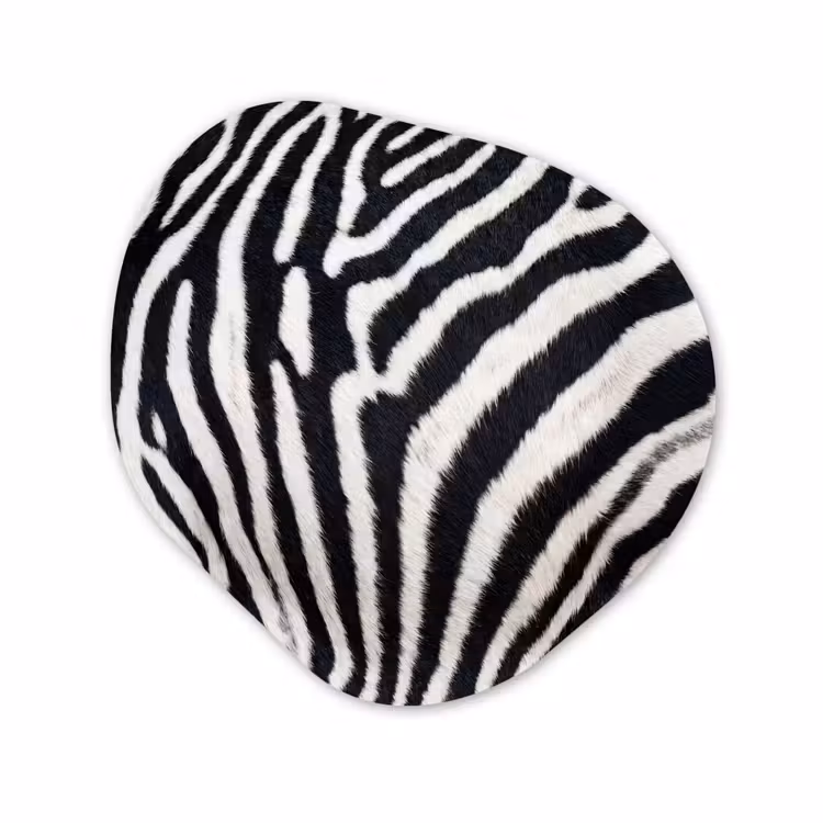 Organisch schilderij - Forex - Zebra - Vacht - Klassiek - Zwart - Wit — 1