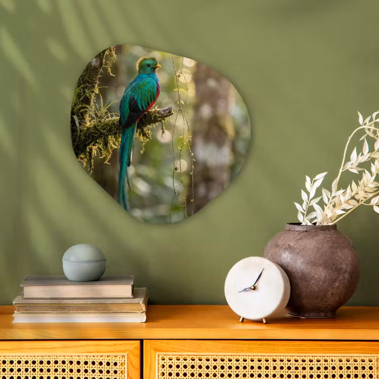 Organisch schilderij - Forex - Quetzal - Jungle - Natuur - Groen — 2