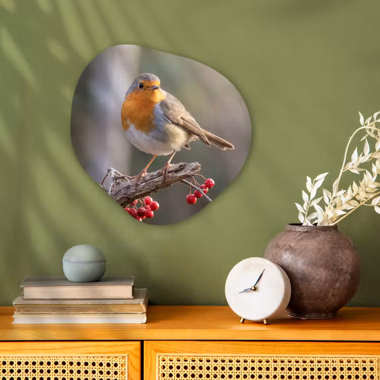 Organisch schilderij - Forex - Roodborst - Tak - Bessen - Natuur — 2