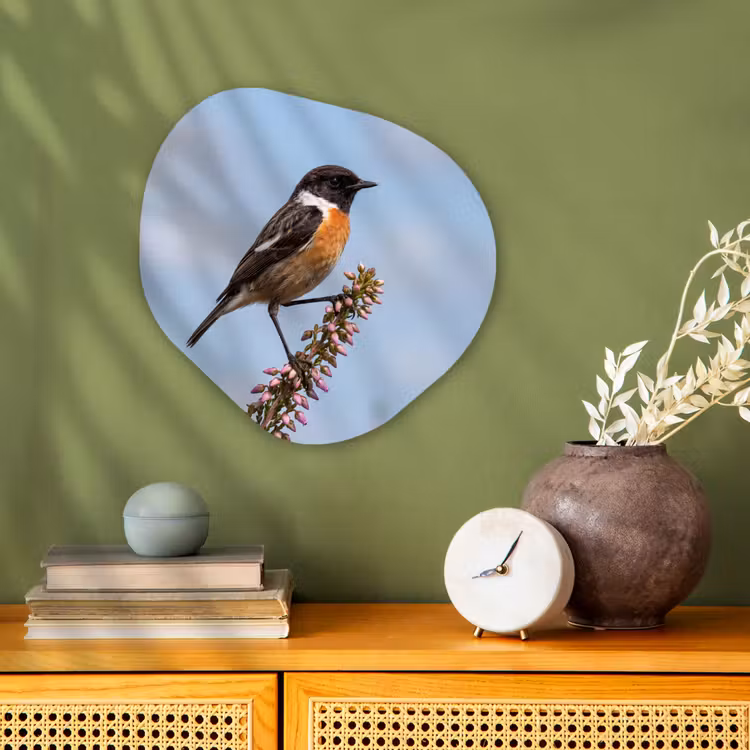Organisch schilderij - Forex - Roodborsttapuit - Heide - Paars - Natuur - Sfeervol — 2