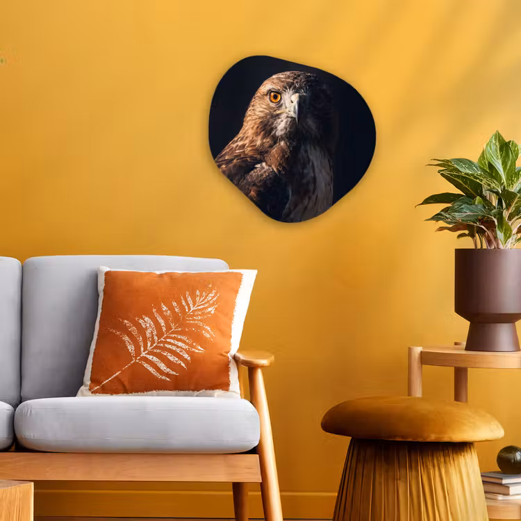 Organisch schilderij - Forex - Roofvogel - Buizerd - Bruin — 3