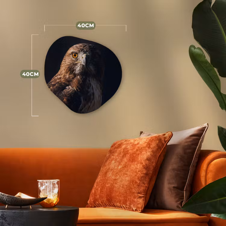 Organisch schilderij - Forex - Roofvogel - Buizerd - Bruin — 4