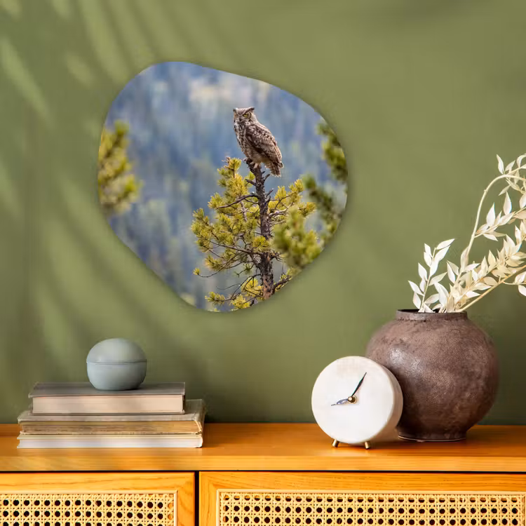 Organisch schilderij - Forex - Uil - Oehoe - Bomen - Natuur — 2