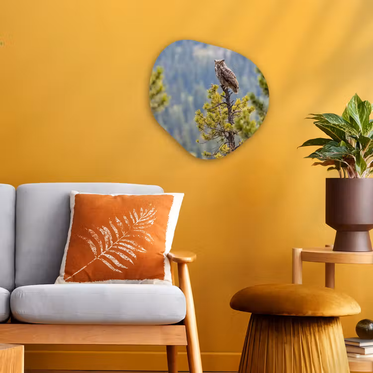 Organisch schilderij - Forex - Uil - Oehoe - Bomen - Natuur — 3