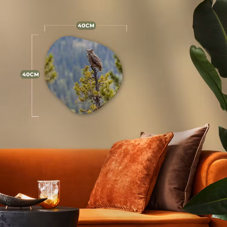 Organisch schilderij - Forex - Uil - Oehoe - Bomen - Natuur — 4